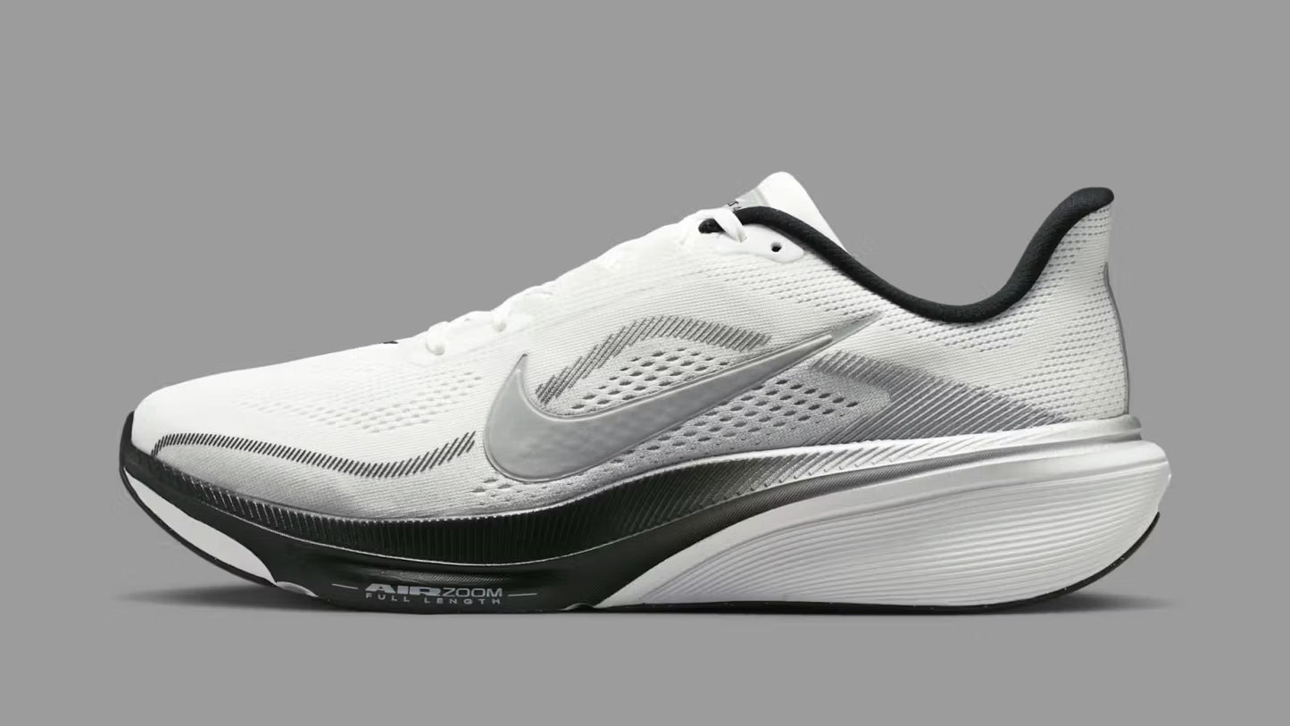 Pegasus 42 Men's