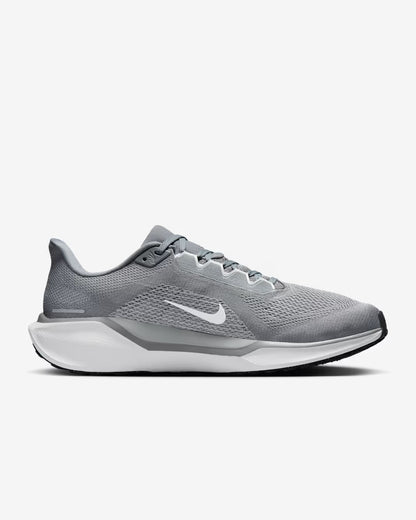 Air Zoom Pegasus 41 Men's