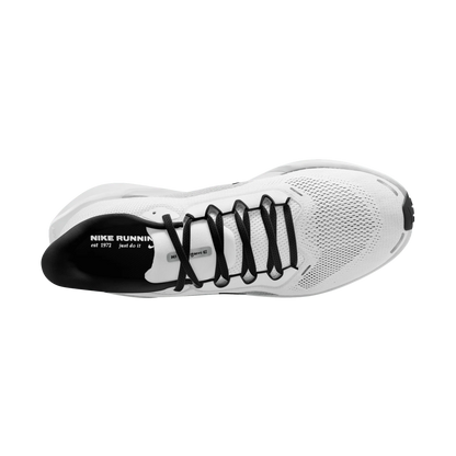 Air Zoom Pegasus 41 Men's